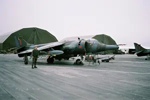 1453: Harrier at RAF Stanley