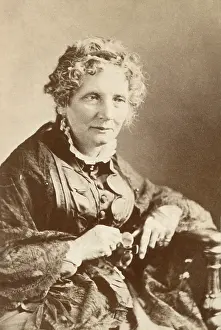 Lcgr1805: Harriet Beecher Stowe in 1876. The author