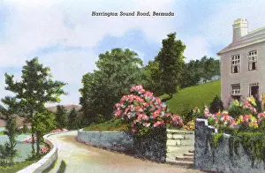 Overeas: Harrington Sound Road, Bermuda