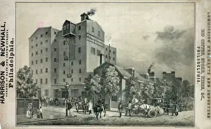 Hides: Harrison & Newhall...Philadelphia, Rio coffee, sugar, hides