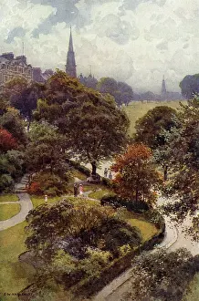 HARROGATE STRAY