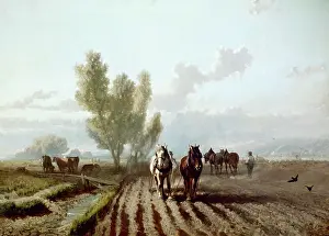 Ploughed: Harrowing ' farming scene with horses