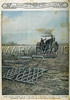 Harrows: HARROWING, ITALY