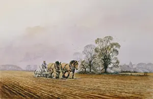 Cullen: Harrowing the Ploughland