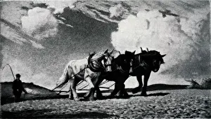 Uplands: Harrowing The Uplands