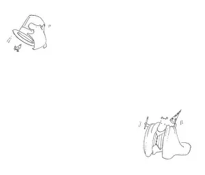 Newcome: Harry the Humorous Hippo