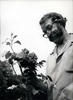 Wheatcroft: Harry Wheatcroft, Rose King