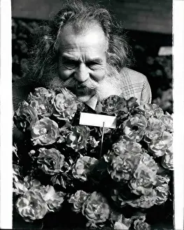 Grower: Harry Wheatcroft, Rose King, Horticultural Hall, London