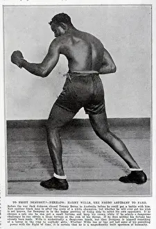 Physique: Harry Wills, Boxer