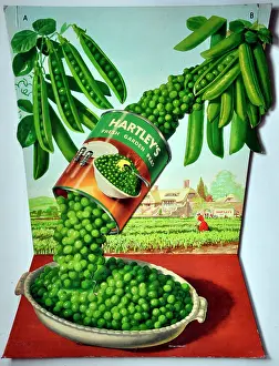 Peas: Hartley's garden peas