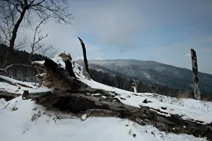 Reminiscent: Hartmannswillerkopf