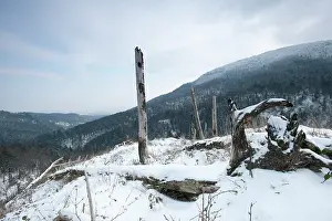 Reminiscent: Hartmannswillerkopf