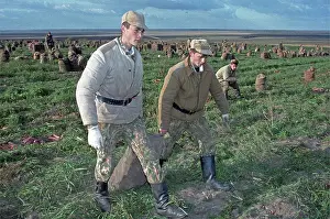 Dmitrov: Harvest, 1995