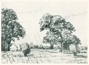 Henriques: Harvest
