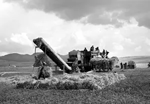 Thresher: Harvest
