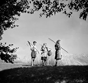Rakes: Harvest