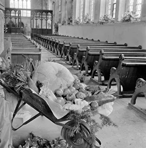 Sills: Harvest Festival