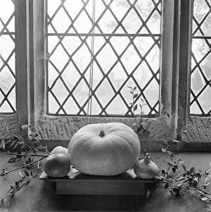 Pumpkins: Harvest Festival