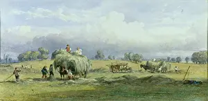 Fripp: The Harvest Field