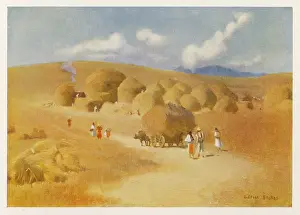 Transylvania: HARVEST IN HUNGARY