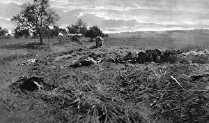 Consequence: The Harvest of the Kaiser