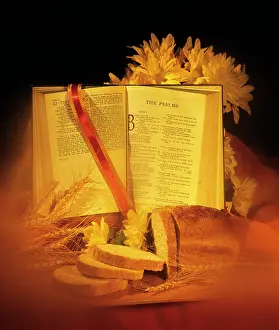 Psalms: HARVEST STILL LIFE WITH BIBLE BREAD WHEAT