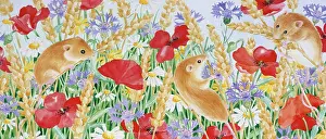 Cornflowers: Harvest Mice and Poppies