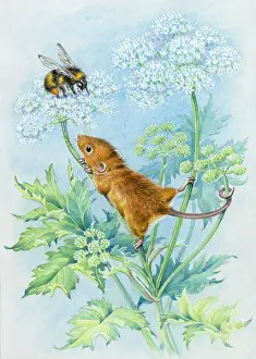 Bumble: Harvest Mouse and Bumble Bee