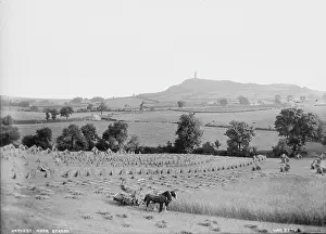 Harvester: Harvest near Scrabo
