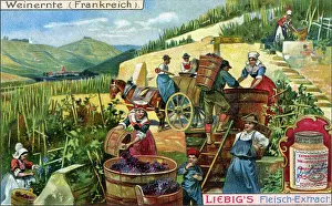 Vats: Harvest scene