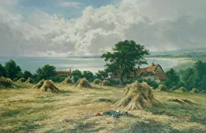 Stooks: Harvest Scene – with corn stooks