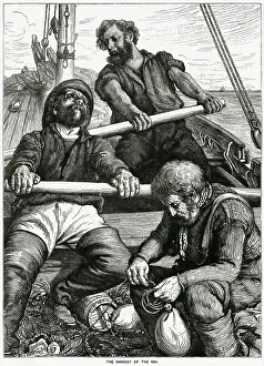 Trawlers: Harvest of the sea 1867