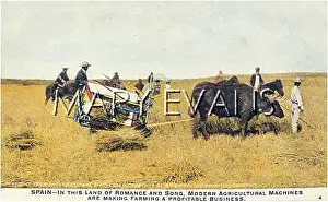 Profitable: HARVEST IN SPAIN