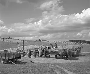 Thrasher: Harvest - thrasher - field - straw - clouds