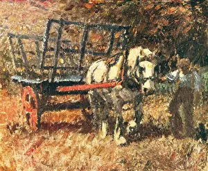 Fidler: Harvest Time