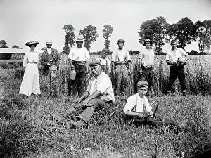 Arable: Harvest time