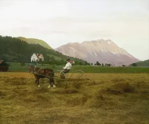 Grains: Harvest time