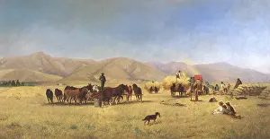 Hahn: Harvest Time