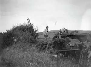 Threshing: Harvest workers near St Davids, Pembrokeshire, South Wales