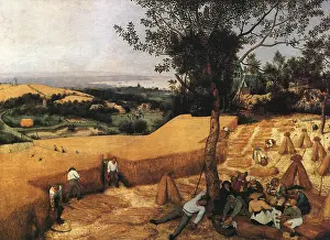 1565: The Harvesters, by Pieter Breughel