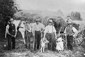 Essential: HARVESTING 1880