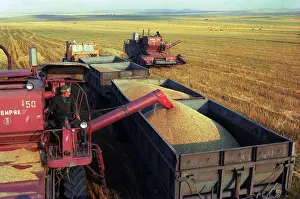 Chelyabinsk: Harvesting, 1978