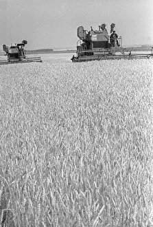 Crops: Harvesting