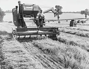 Ransome: HARVESTING BARLEY