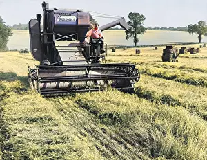 Ransome: HARVESTING BARLEY