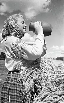 Belarussian: Harvesting in Belorussian SSR