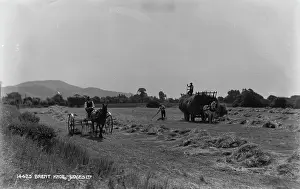 Fieldwork: Harvesting in the Countryside