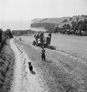 Ladram: Harvesting crops