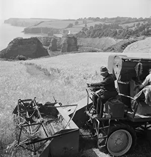 Ladram: Harvesting crops