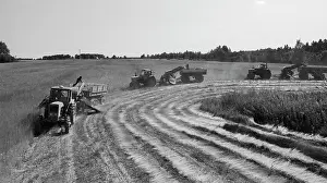 Reaps: Harvesting of flax